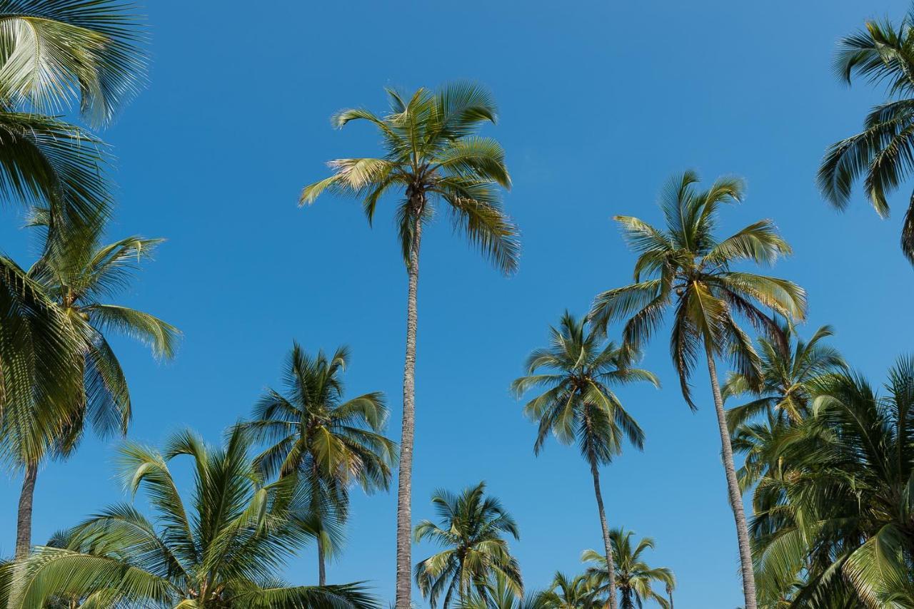 Tayrona Tented Lodge Guachaca エクステリア 写真