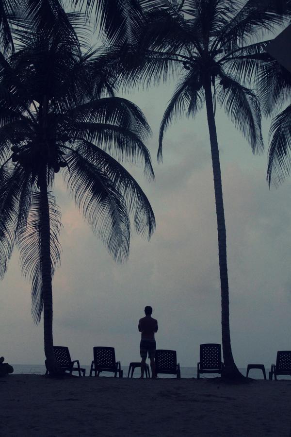 Tayrona Tented Lodge Guachaca エクステリア 写真
