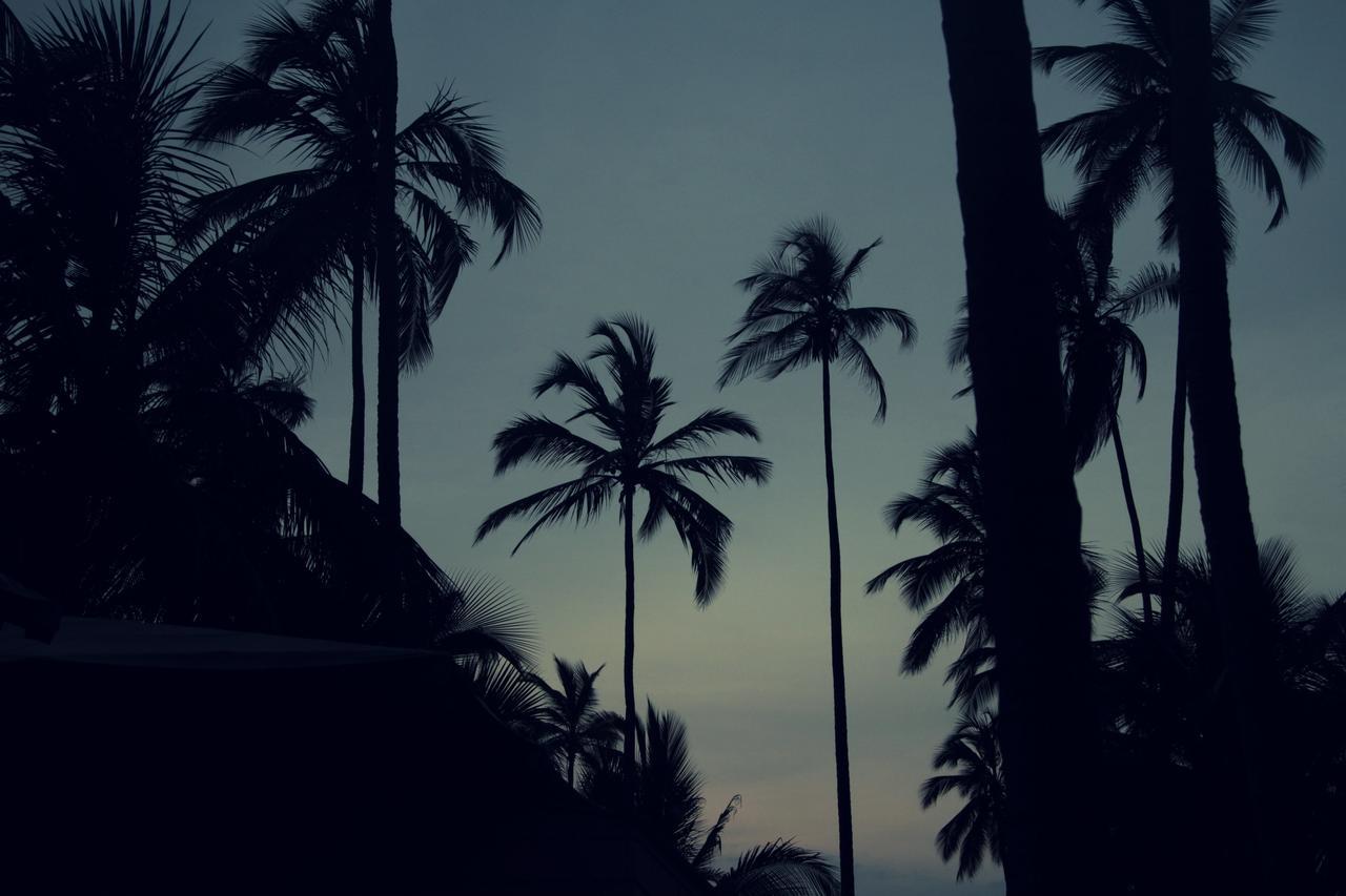 Tayrona Tented Lodge Guachaca エクステリア 写真